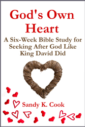 After Gods Own Heart