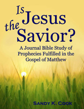 is Jesus the only Savior